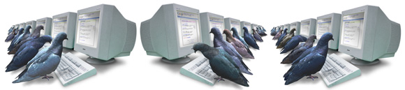 Free web submit, Search engine guide line, Google Search Engine Guidelines, Yahoo Search Engine Guidelines, Yahoo Free Submit, Google Free Submit, Yahoo website, free website submission, Free search engine submission, Google Ranking System yahoo, Google, Altavista, msn, Internet, search engine, India, Gujarat, Ahmedabad, Surat, Bhavnagar, Rajkot, Vadodara, Baroda, jamnagar, website designing, web promotion, CD presentation, internet marketing, search engine ranking, SEO